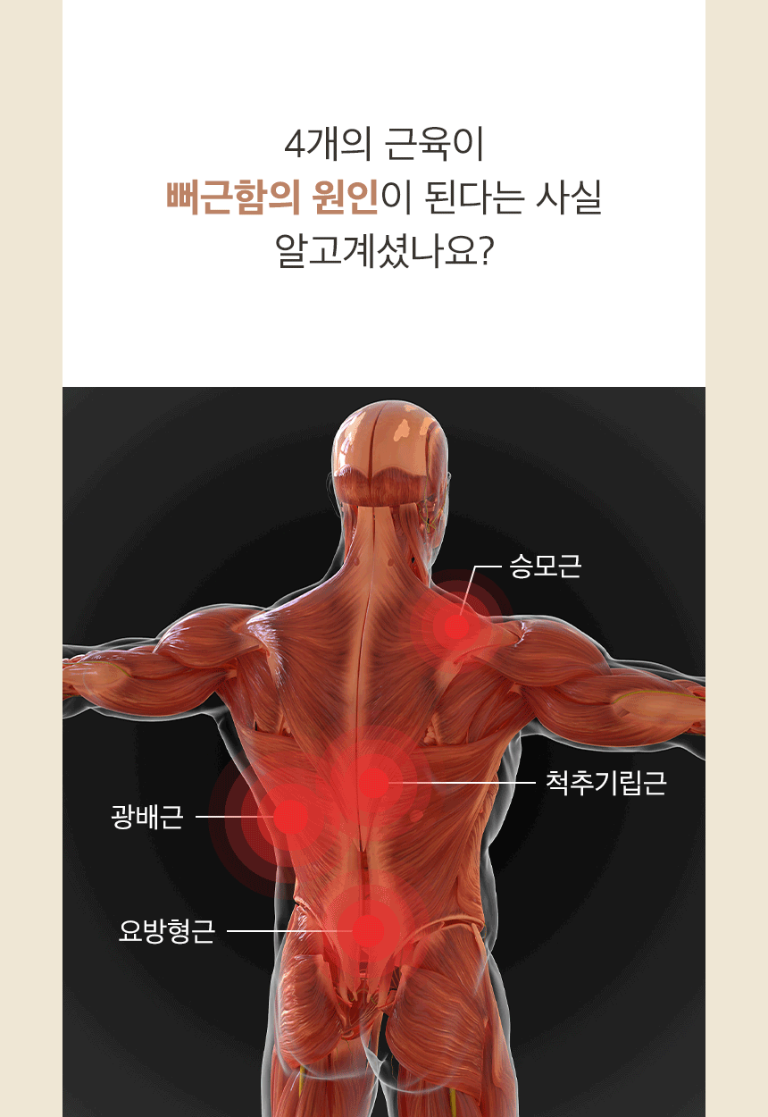 이미지 설명이 없습니다.