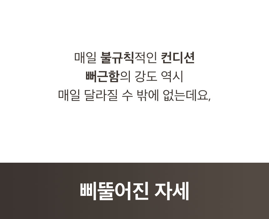 이미지 설명이 없습니다.