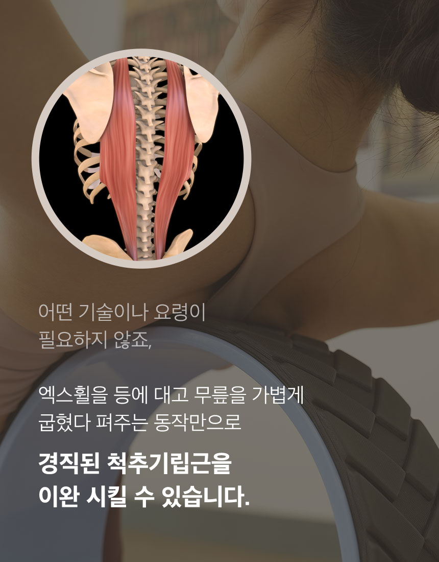 이미지 설명이 없습니다.