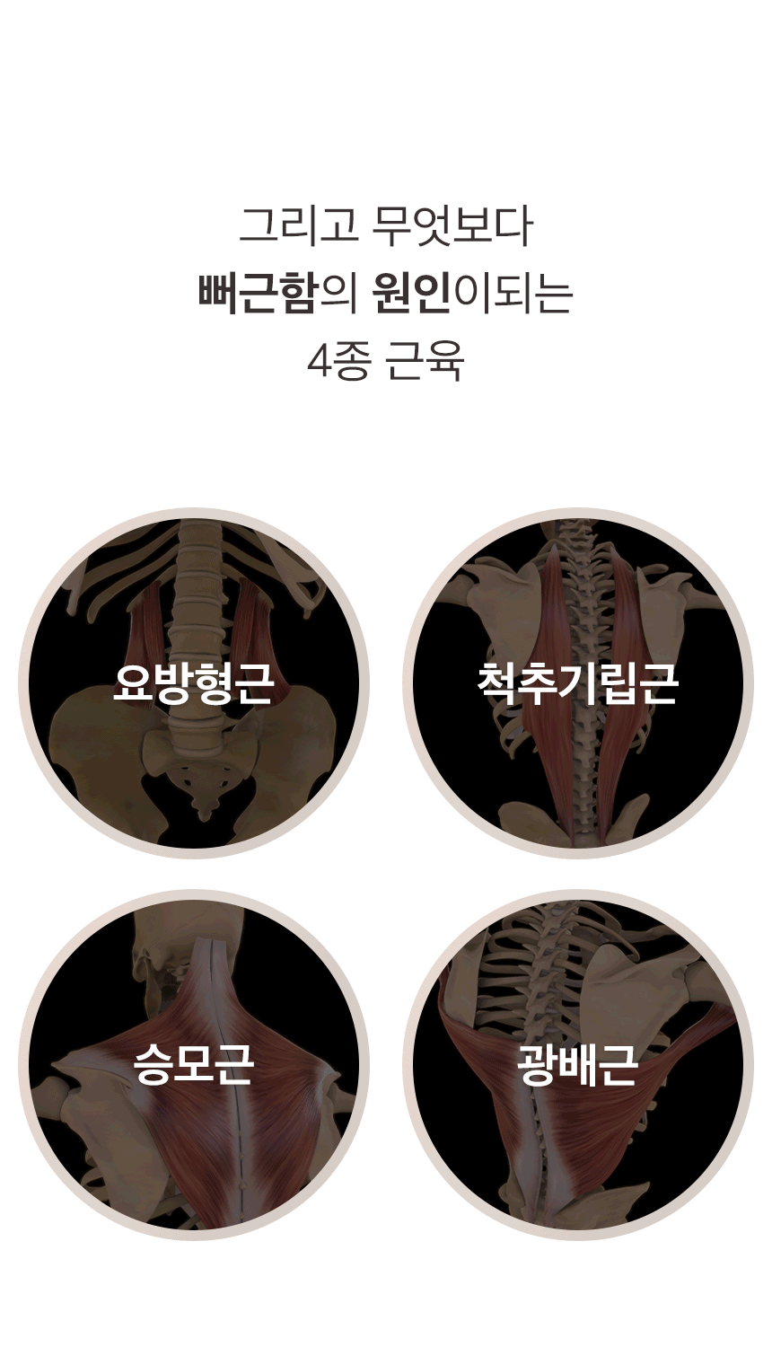 이미지 설명이 없습니다.