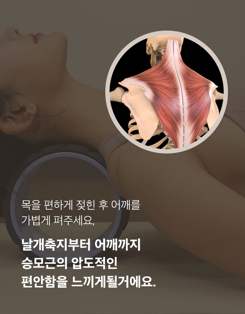 이미지 설명이 없습니다.