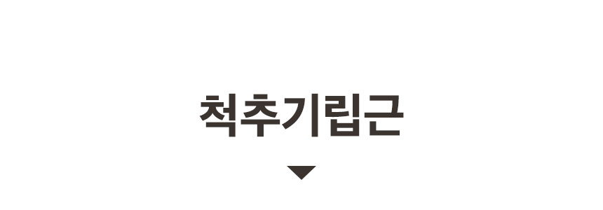 이미지 설명이 없습니다.