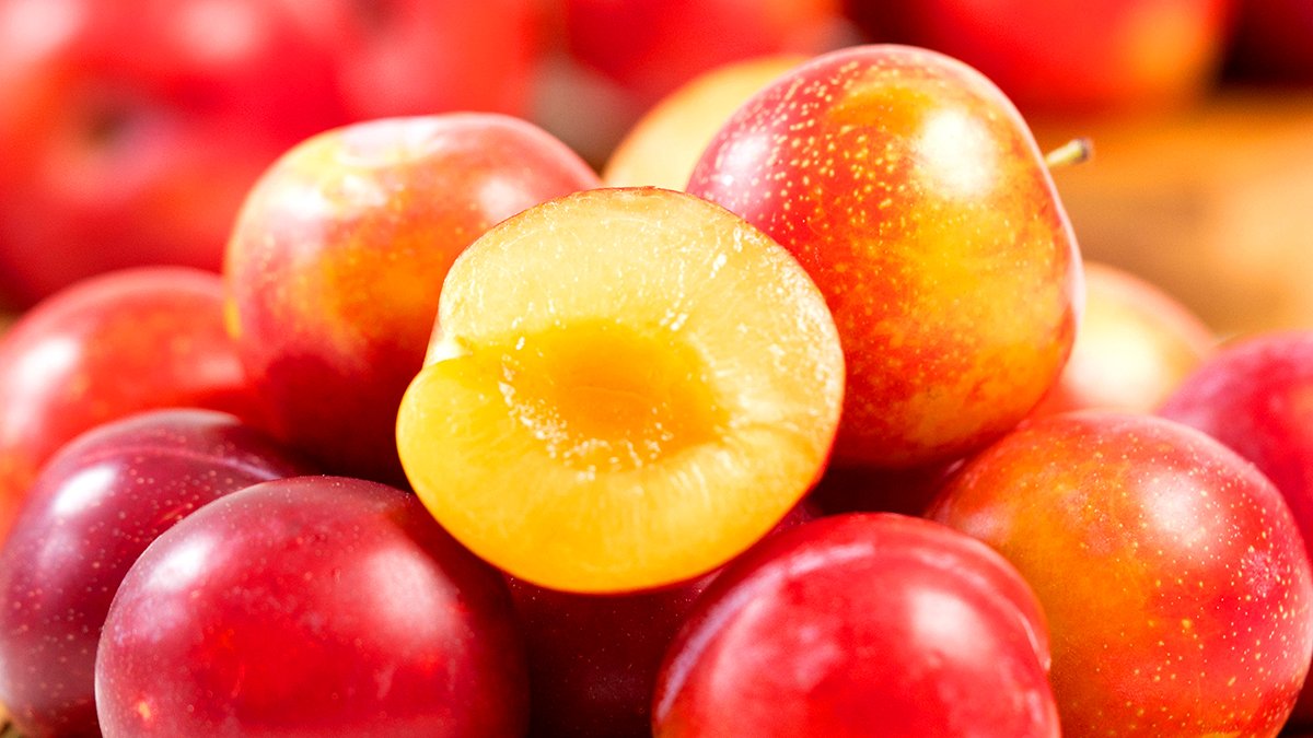 只在“月刊水果”独享，来自顶级李子村的特选李子！