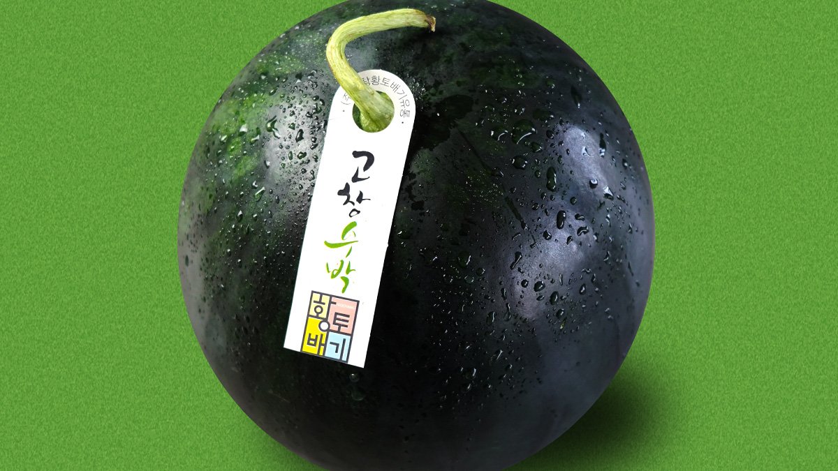 [当季美味] 满口甜脆，奢华高昌黑西瓜回归！