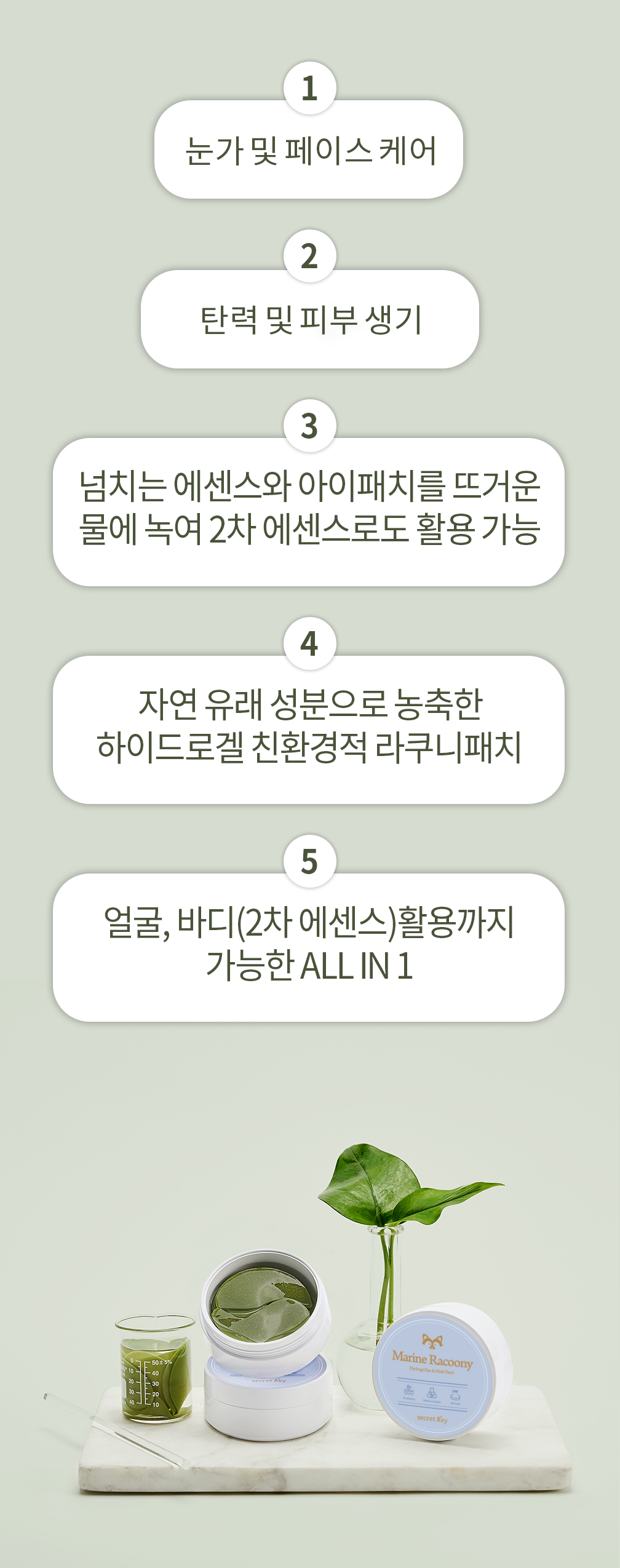 17_라쿠니활용.png