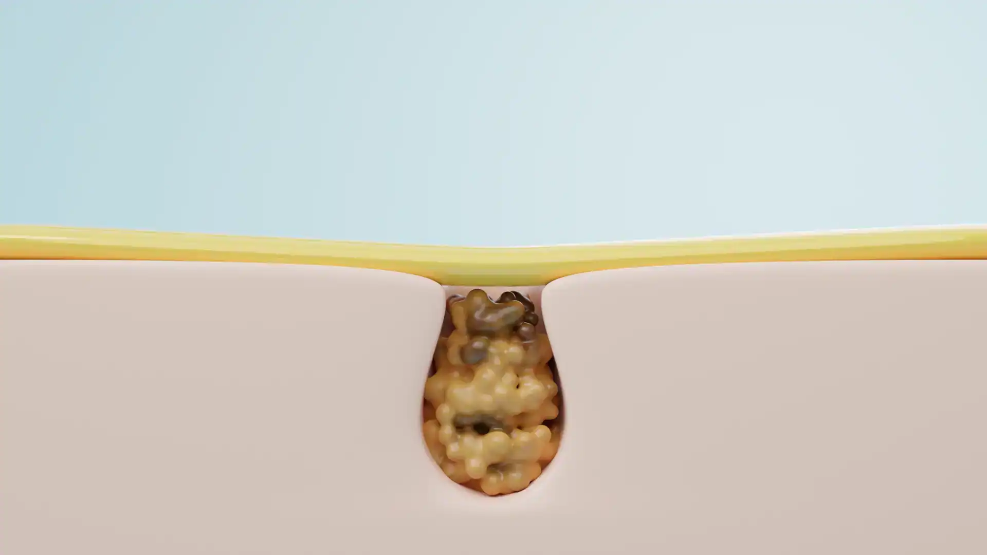 이미지 설명이 없습니다.