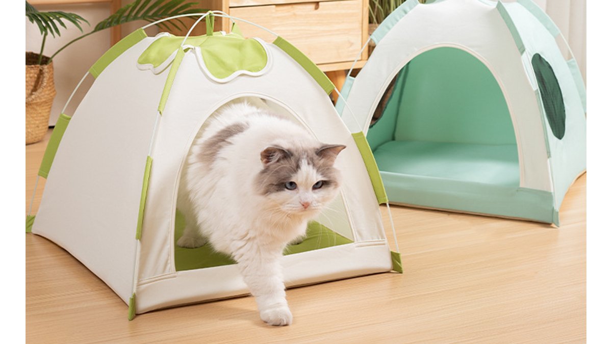 想同时拥有独处空间和凉爽？Dogweg) Clever One-Touch帐篷