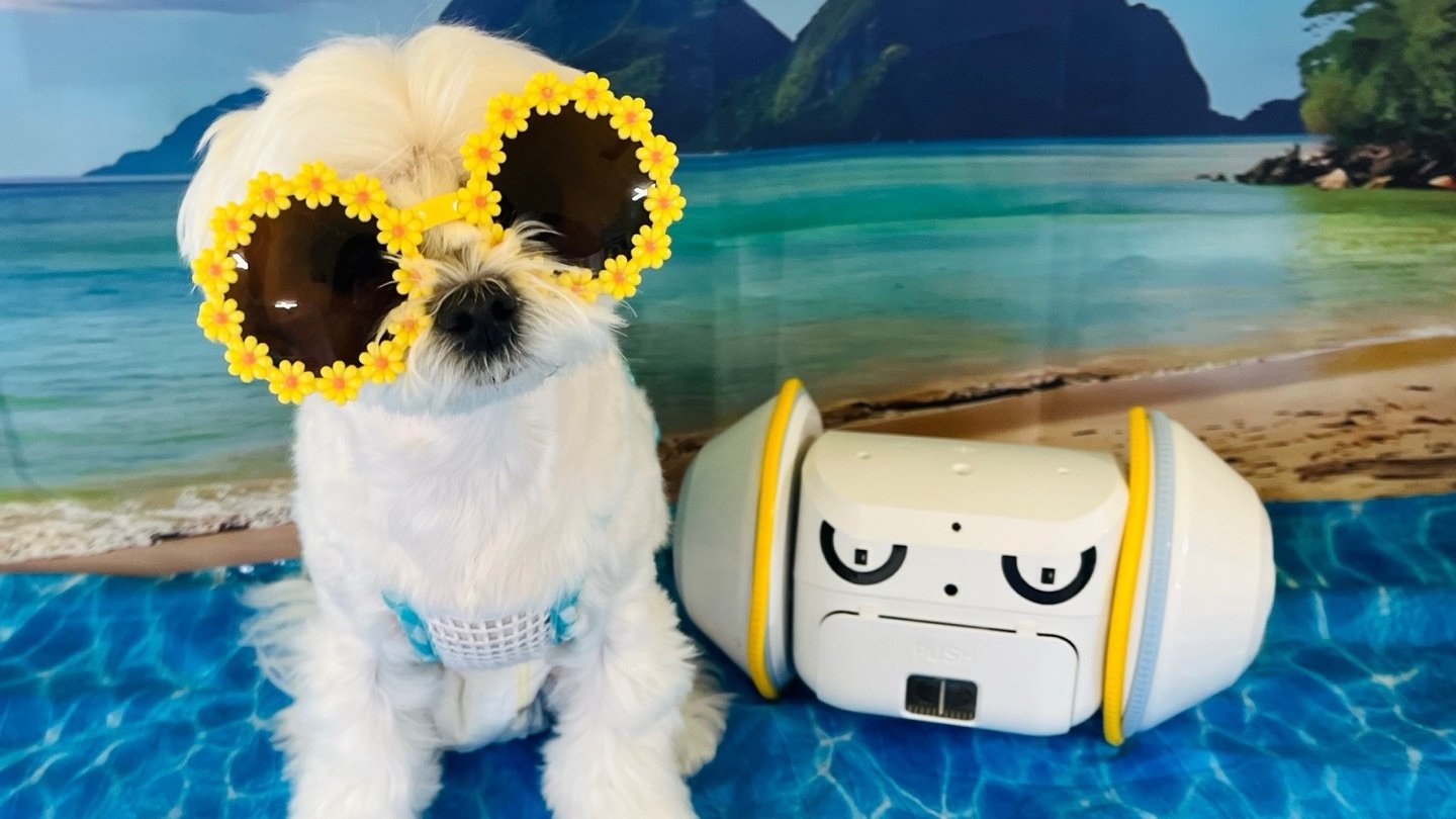 出门也安心！陪伴宠物的智能护理机器人