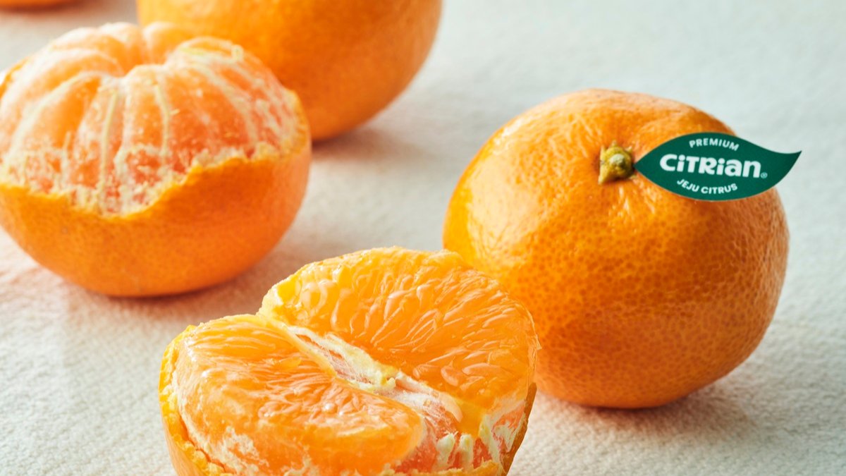 卡*礼物首选企业打造的高端柑橘品牌，Citrien