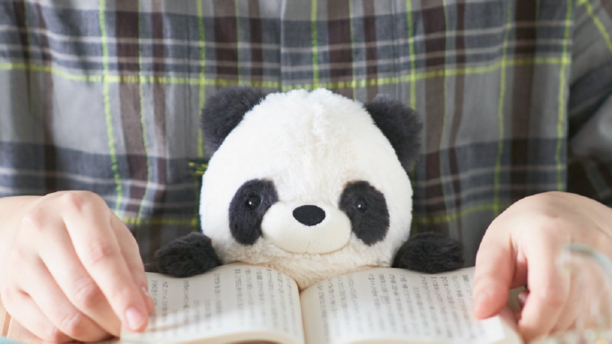 ただのぬいぐるみじゃない、かわいい姿勢矯正アイテム「フンバルーズ」