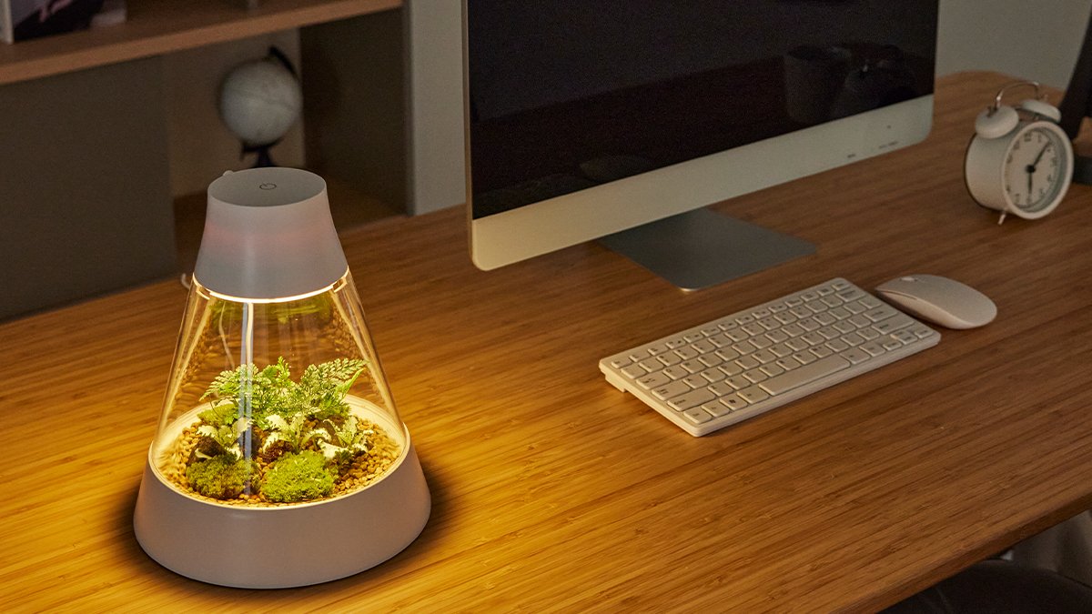 나의 손에서 피어나는 감수성, DIY 반려식물에 따뜻한 LED 조명까지!