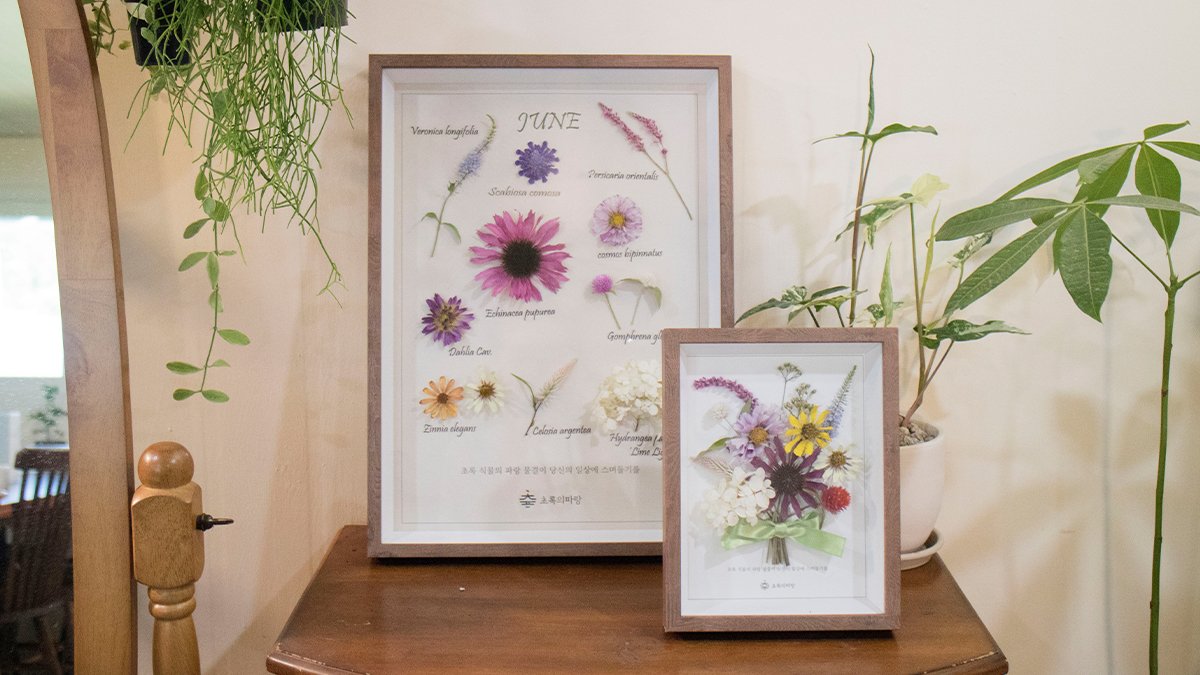 [首次公开]农场直送野花干花艺术品