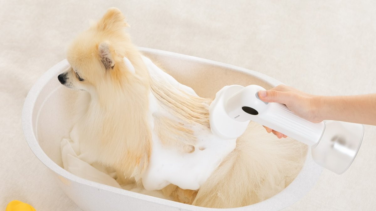 2만원대 신개념 펫목욕 필수템｜버튼만 누르면 풍성하고 쫀쫀-한 거품 완성