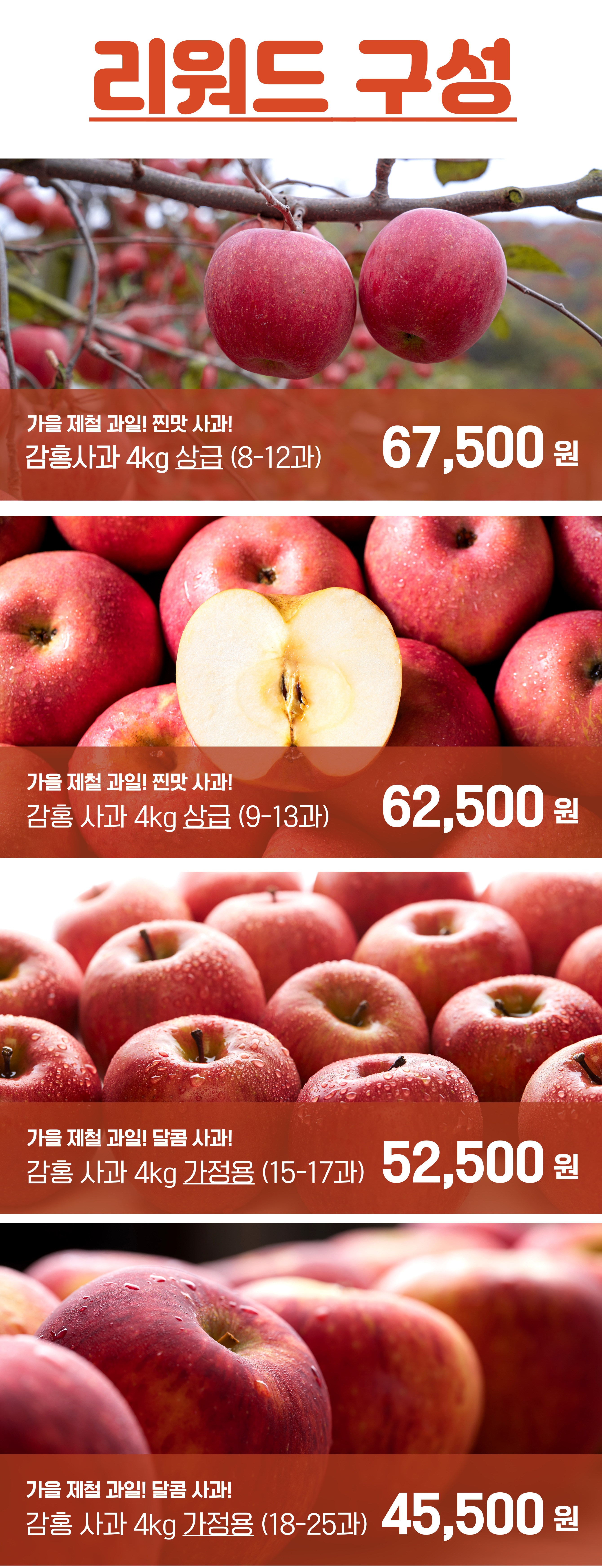 이미지 설명이 없습니다.