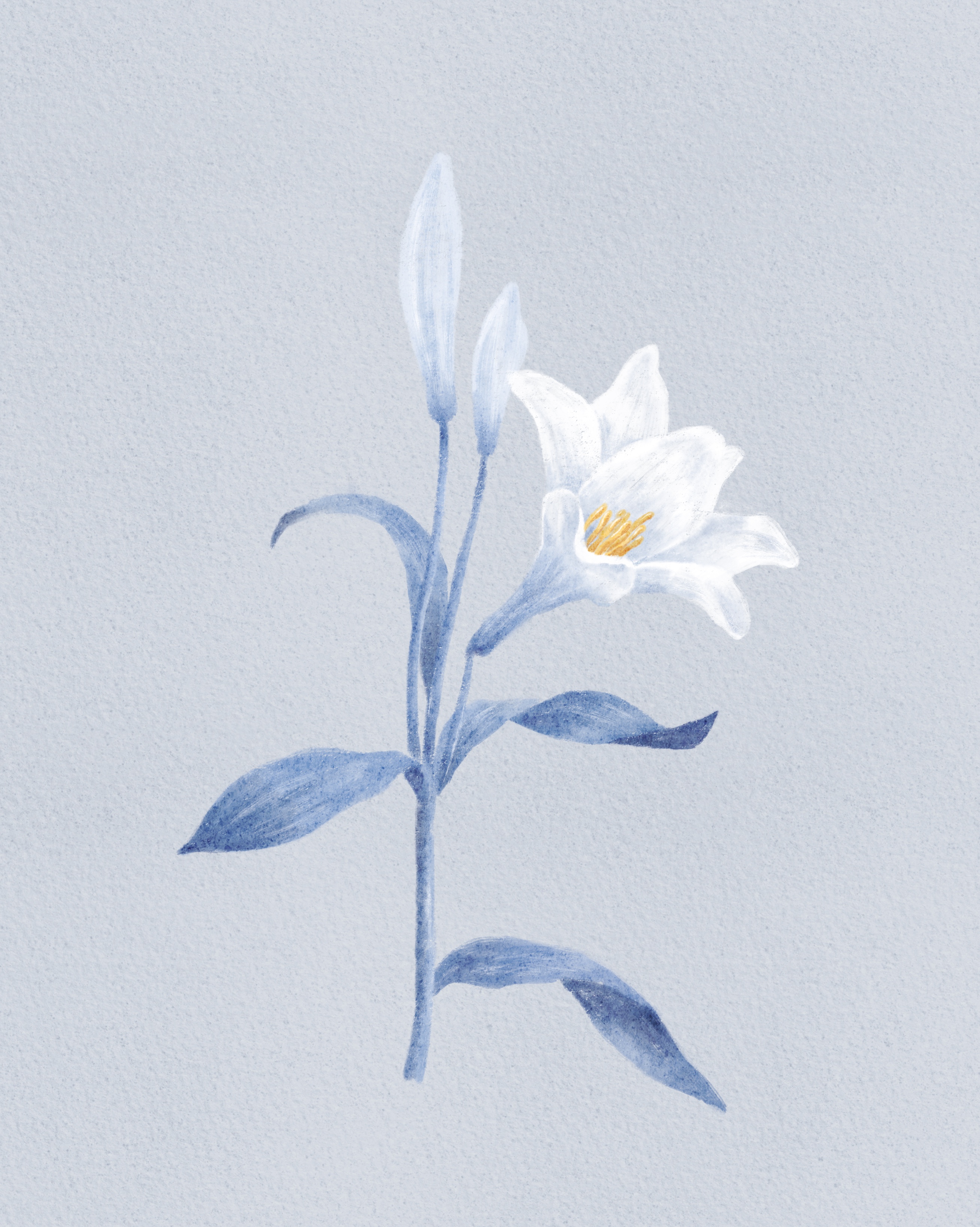 GY's_canvas_Texture_01(나눔) 7.jpg