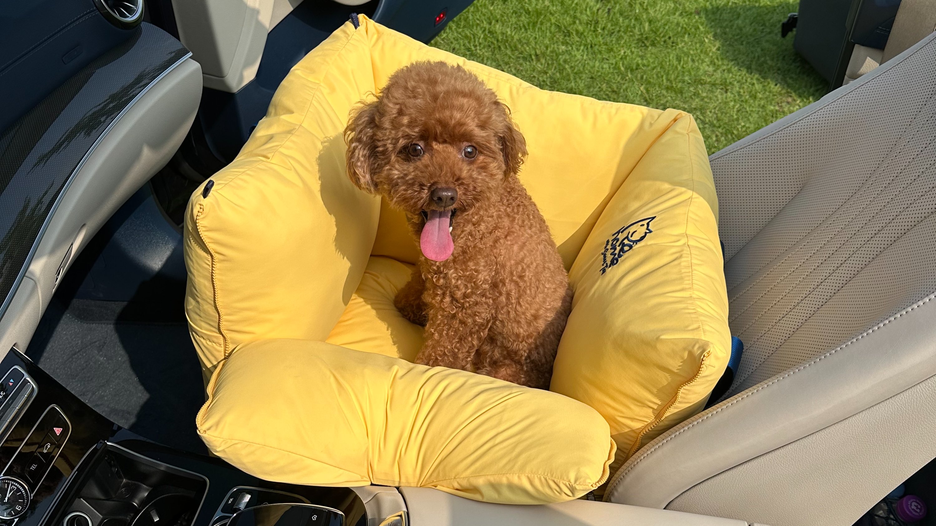 [Sweet Tail] 从狗狗视角出发，100%纯手工甜美宠物安全座椅