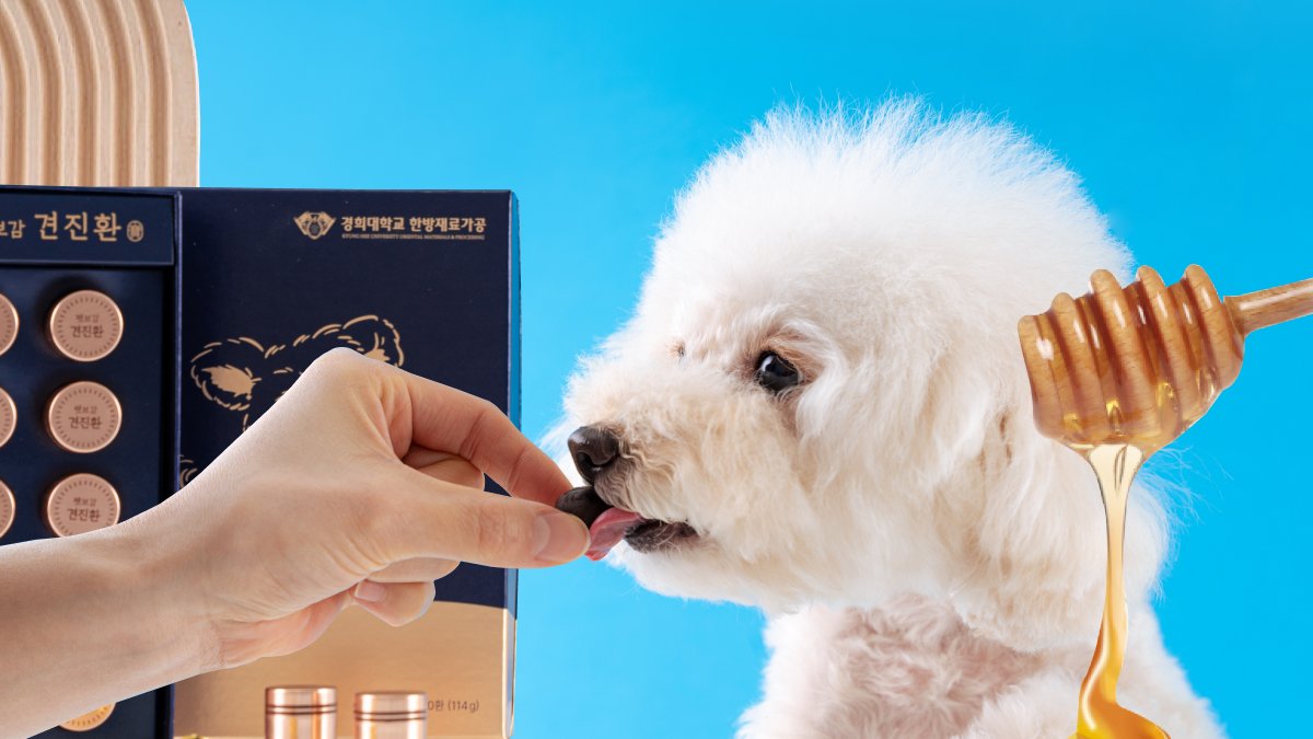 [60% Off] Still My Baby But Now for My Weakened Senior Dog—Gyeonjin Pills
