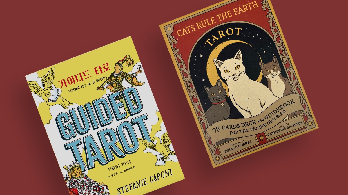 아마존 1위 가이디드 타로와 독창적인 일러스트의 고양이 세상 타로