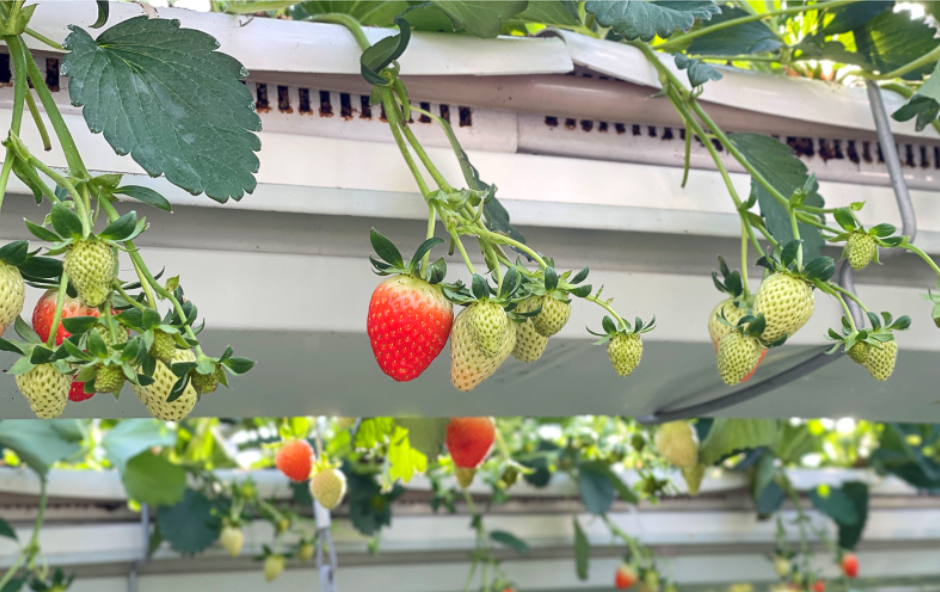 이미지 설명이 없습니다.