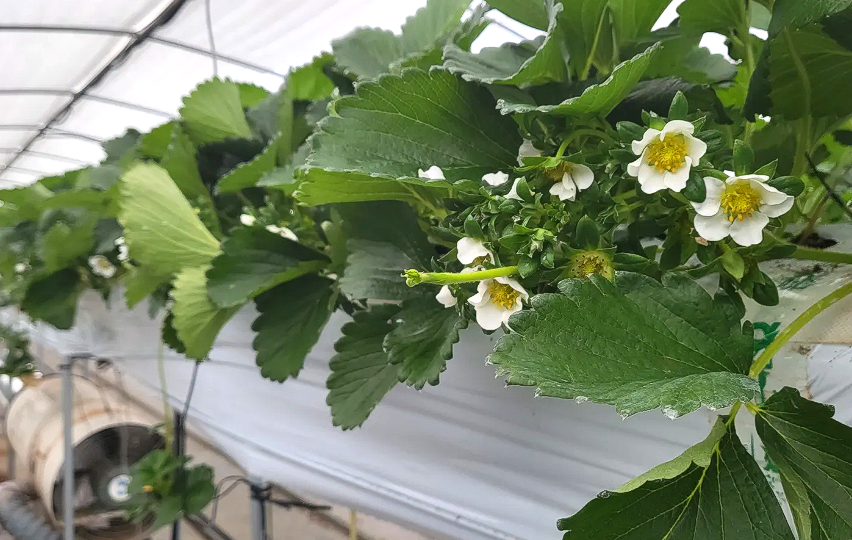 이미지 설명이 없습니다.