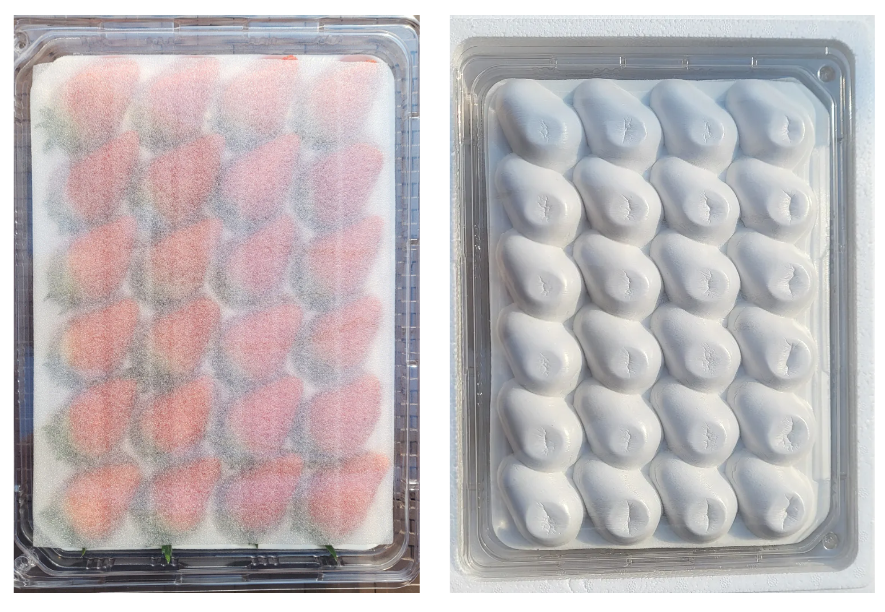 이미지 설명이 없습니다.