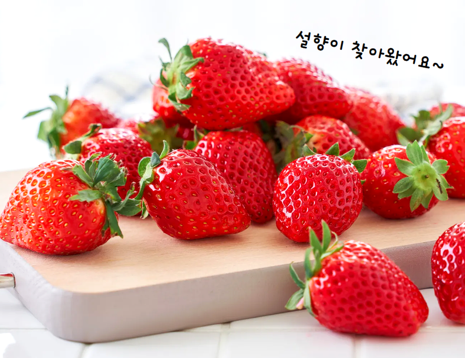 이미지 설명이 없습니다.