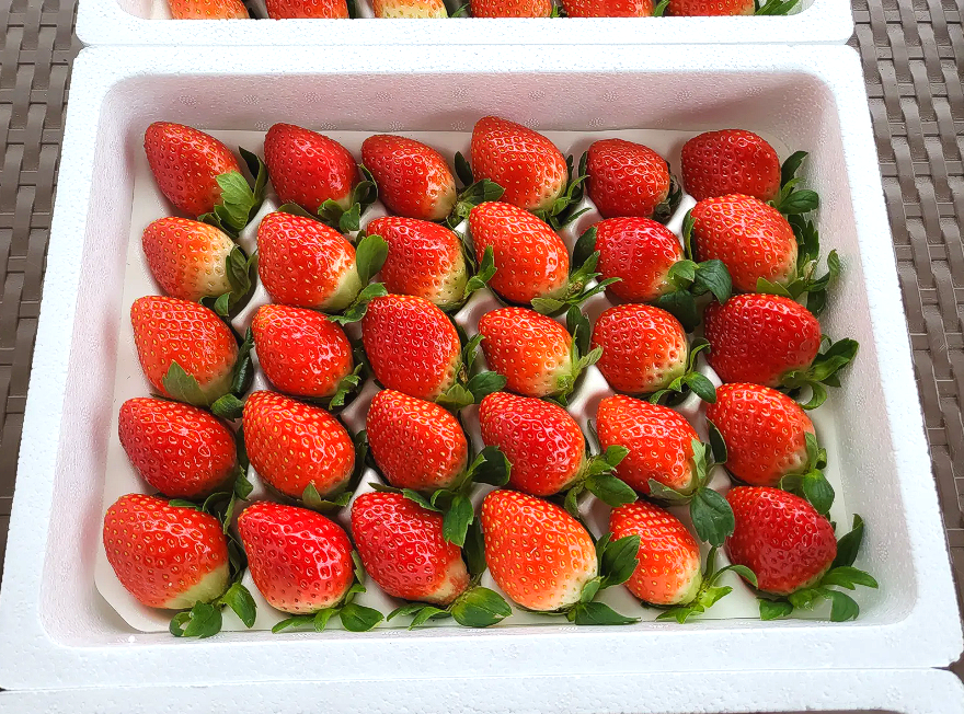 이미지 설명이 없습니다.