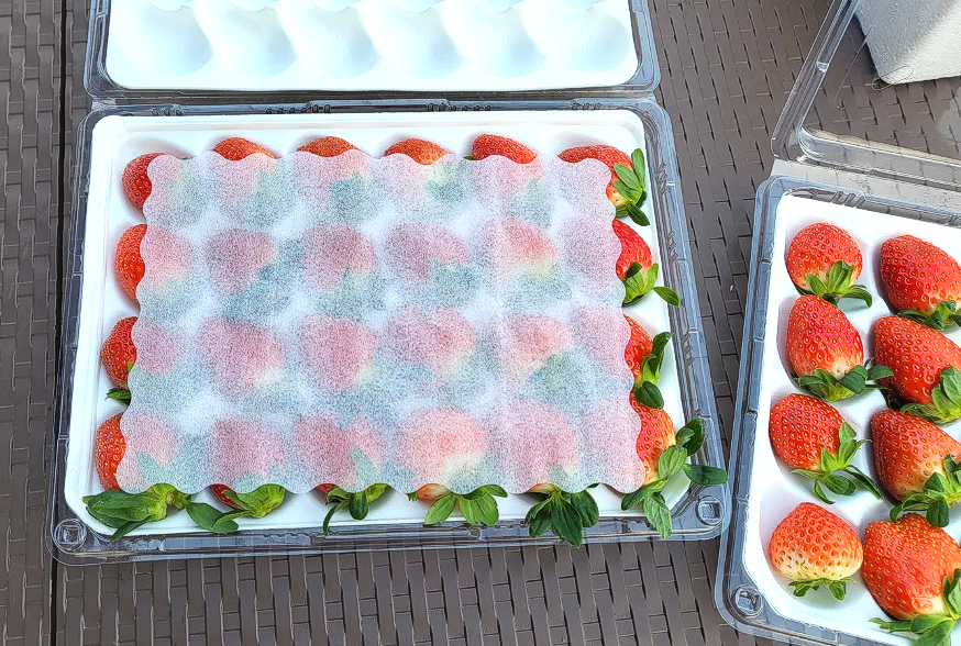 이미지 설명이 없습니다.