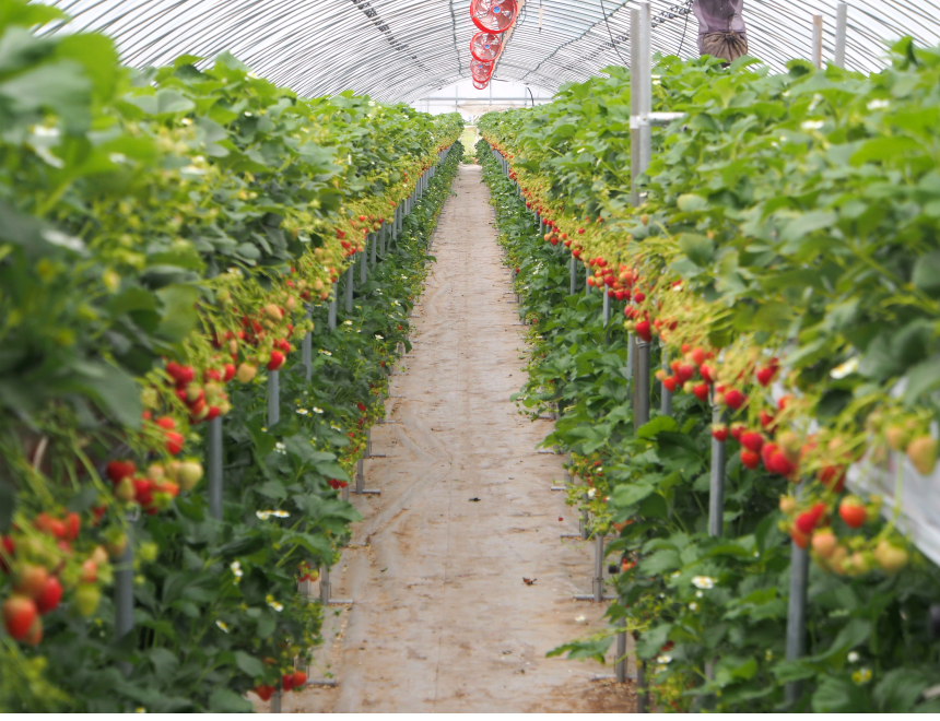 이미지 설명이 없습니다.