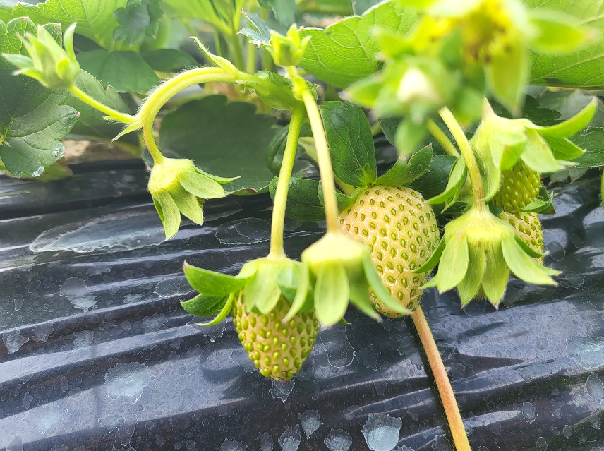 이미지 설명이 없습니다.