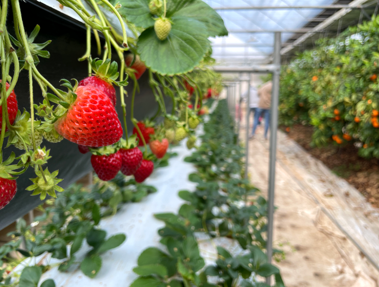 이미지 설명이 없습니다.