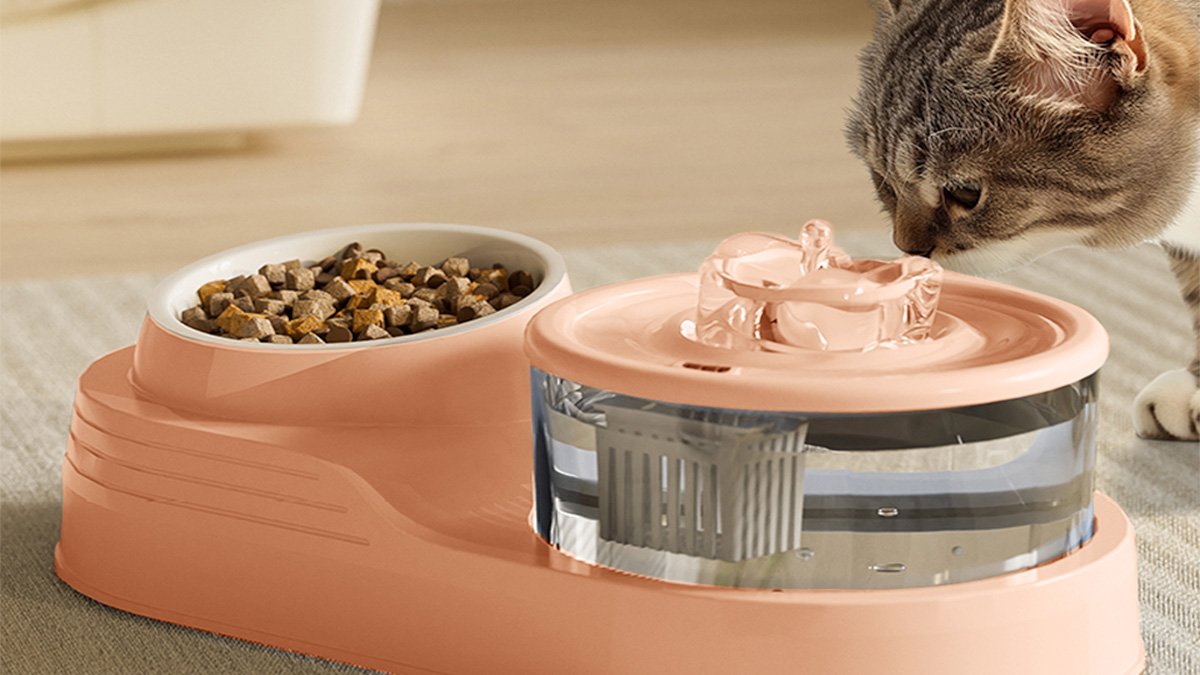 [Waterer+Feeder Around 30000 KRW] All-in-One Quiet Automatic Filter Waterer & Feeder