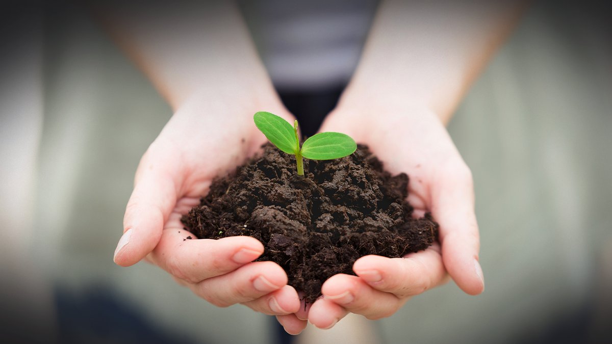 播种希望的种子，残障人士就业支持计划 together套装