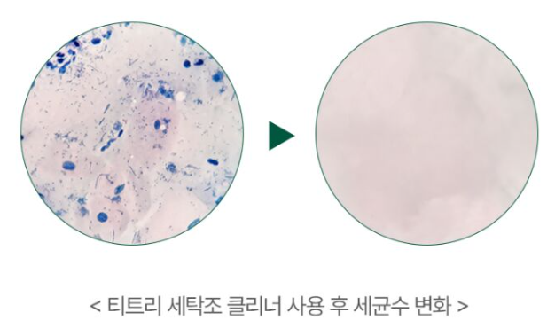 스크린샷 2024-11-12 093105.png