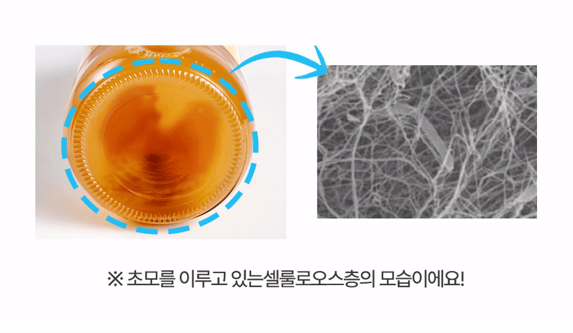 제작_GIF_01.gif