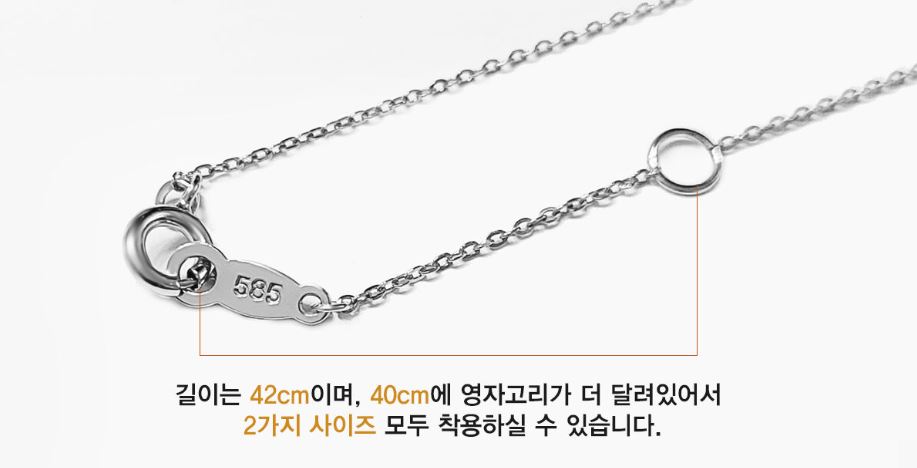 줄길이.JPG
