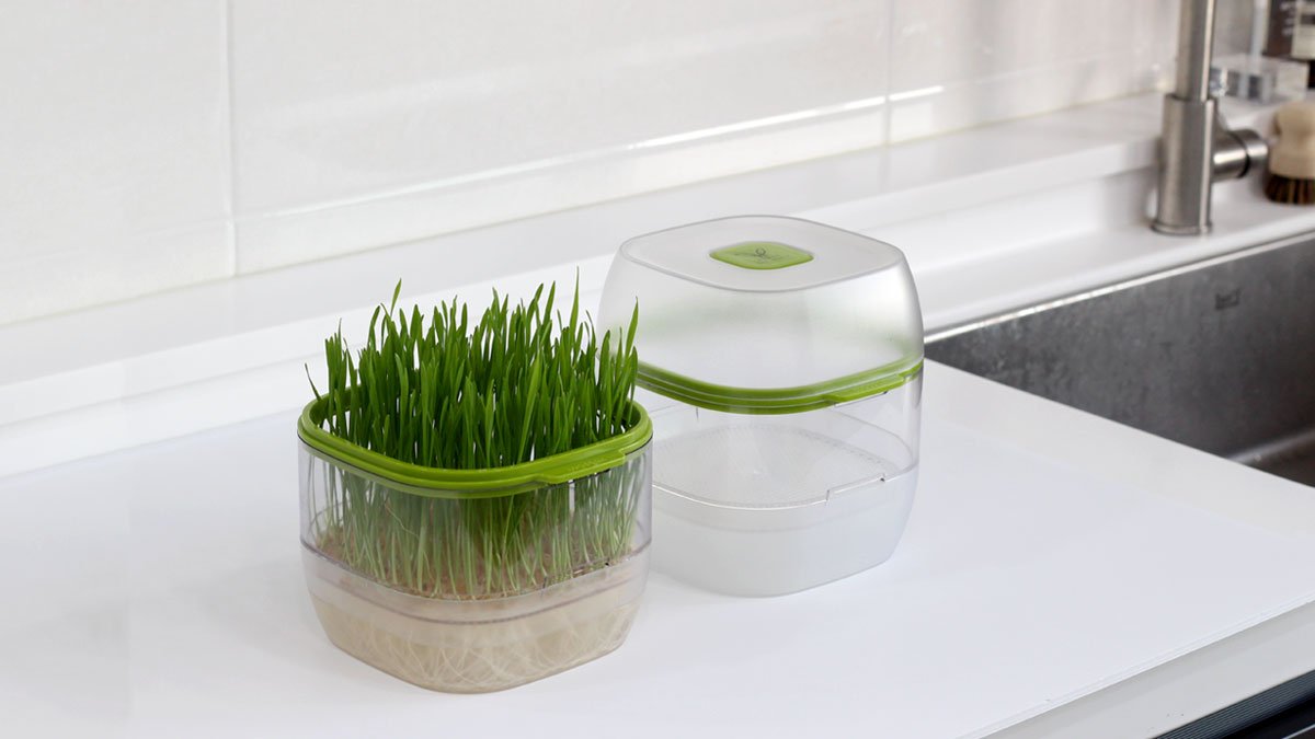 Plant-based Safe Hydroponic Grower + Plant Lamp Healthy Living for You and Your Cat