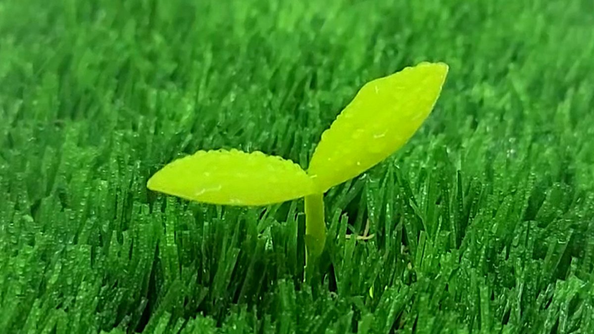 Sprout-Shaped 3D Golf Ball Marker