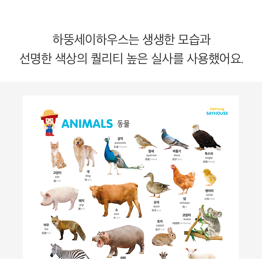 28_하뚱세이하우스_실사.jpg