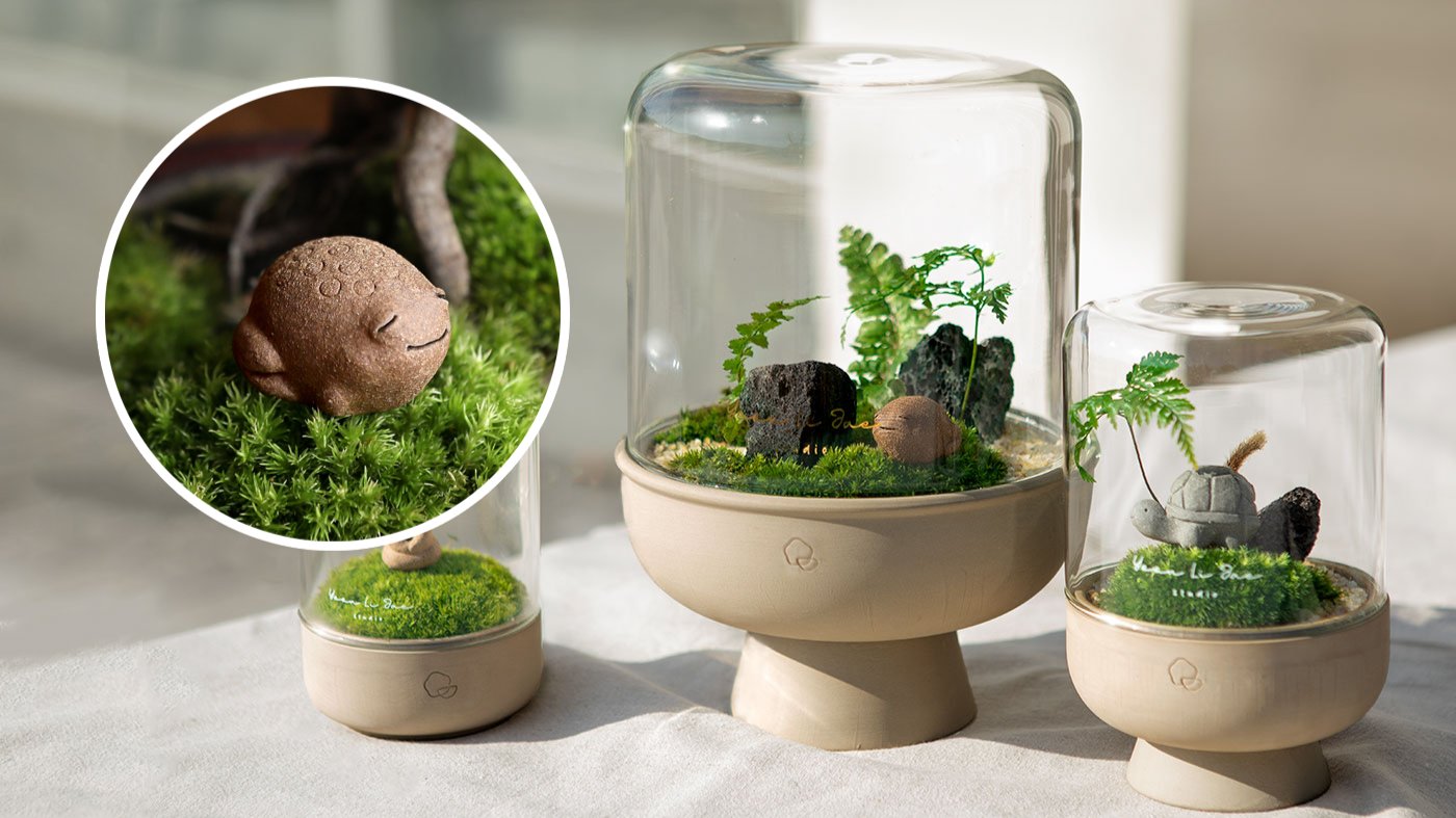[Only 20 a Day] Exclusive Luxury Terrarium for the Chosen Few