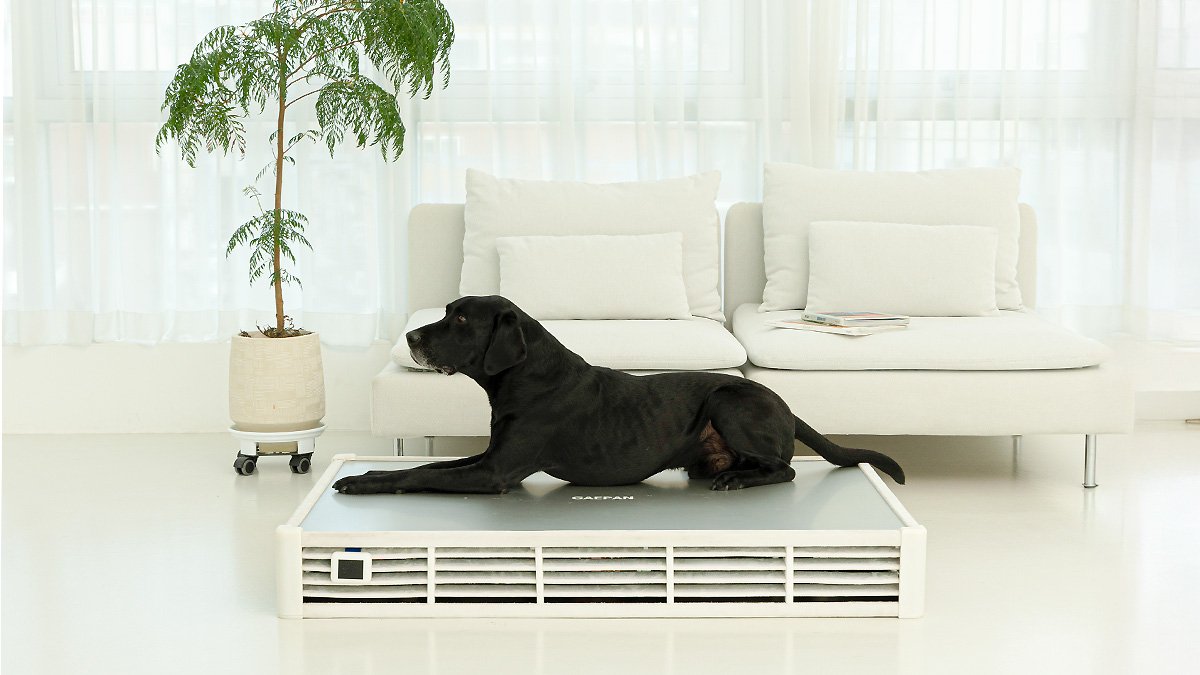 无需空调，清凉度夏！大型犬专用超凉爽狗窝！