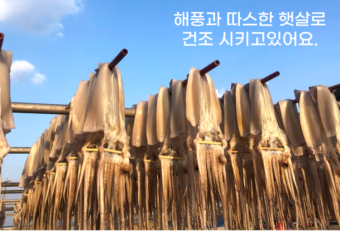 이미지 설명이 없습니다.