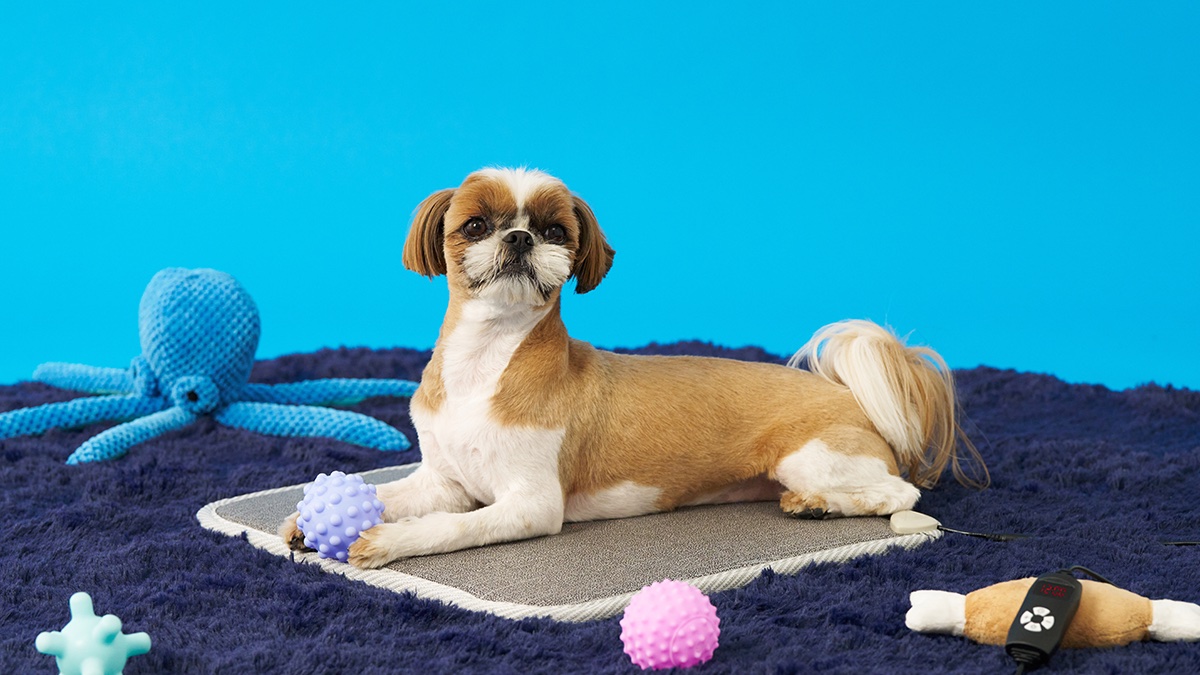 [近赤外線ペットクッション] 愛犬・愛猫の健康を守る、くつろぎの新空間