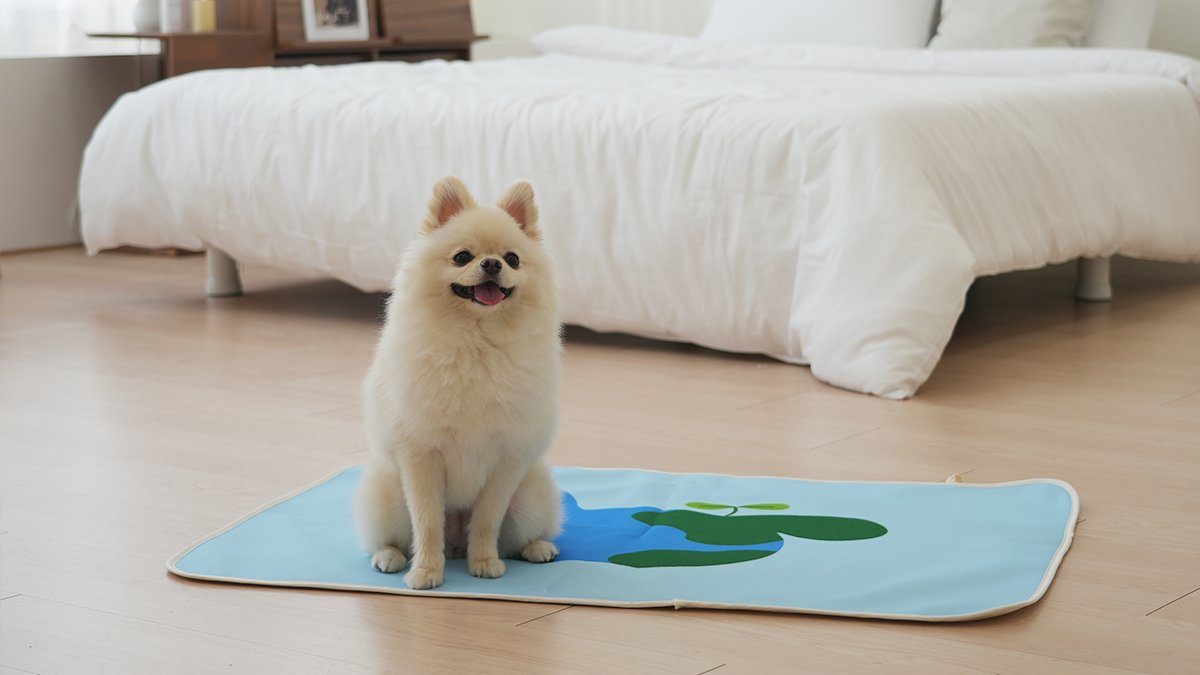 빨아쓰는 배변패드, 전혀 안귀찮아요!ㅣ연 87% 비용절감 가능!ㅣ워시패드