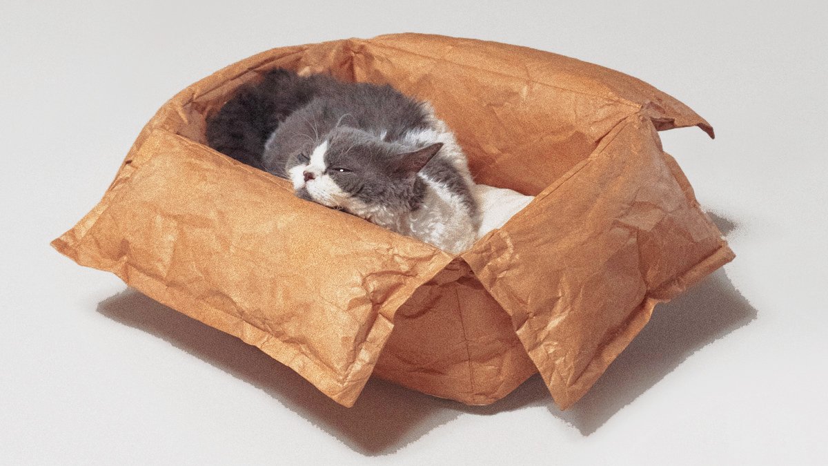 アンコール] 猫が夢中になる！汚れないエコなボックス型キャットハウス