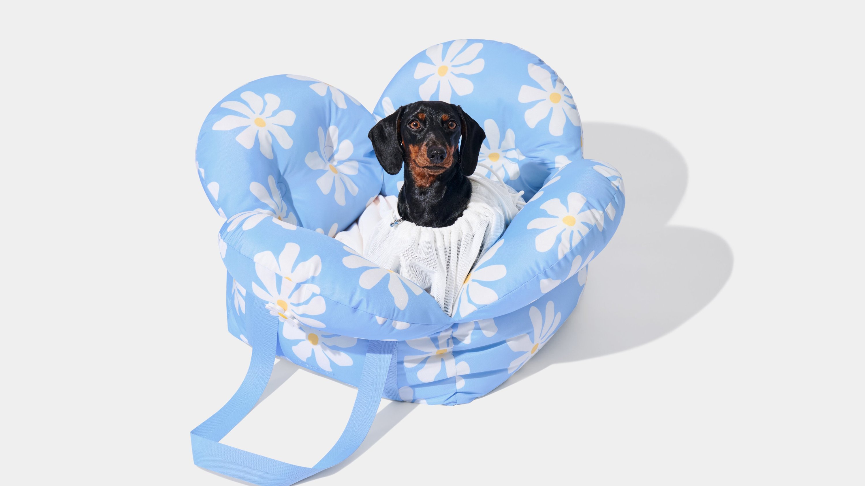 카시트 하나로 차종이 바껴보이는 매직ㅣ뉴욕브랜드 VETRESKA