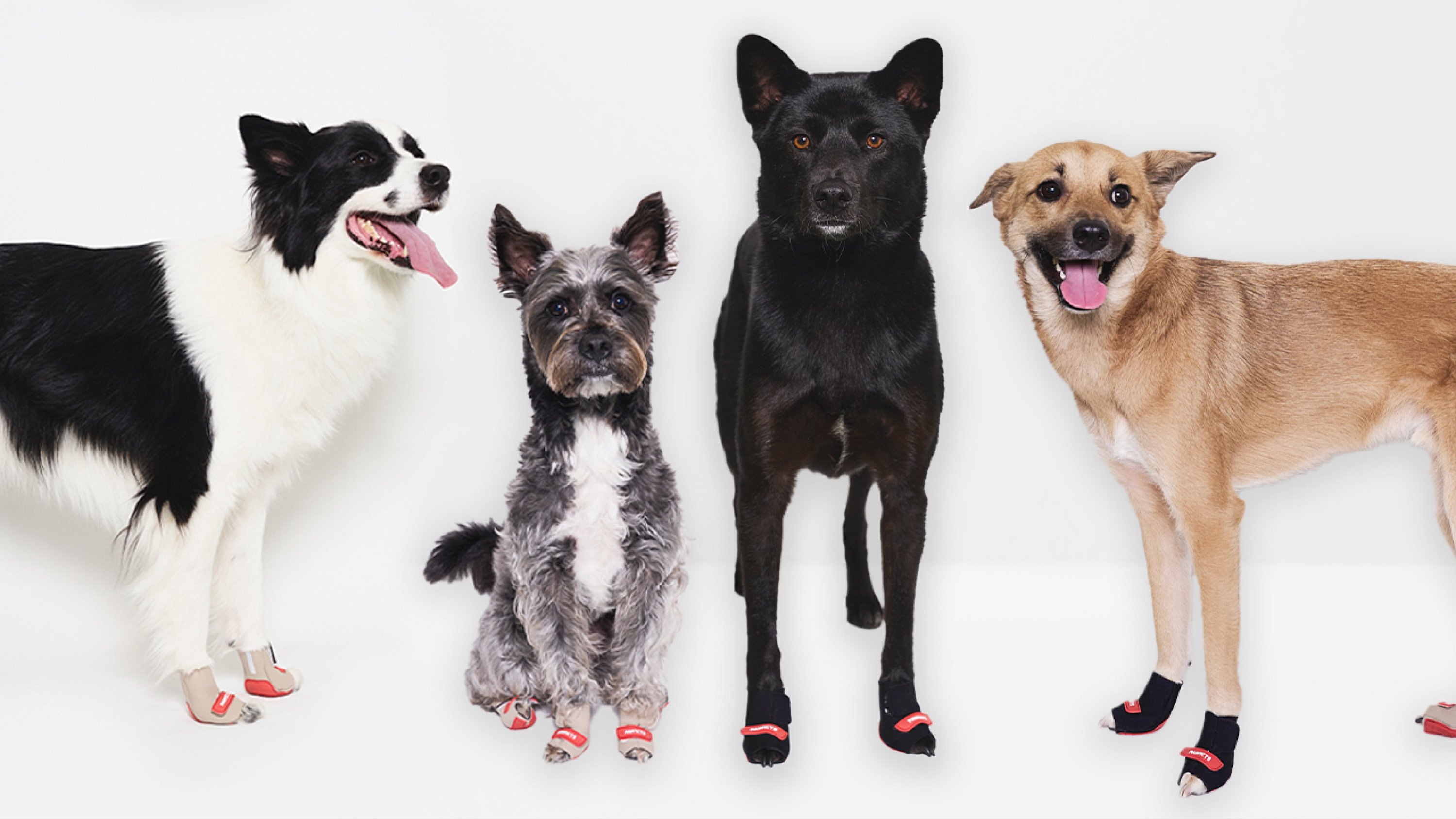 [Dog Shoes] No Slip 10 SizesㅣPokits Functional Pet Shoes