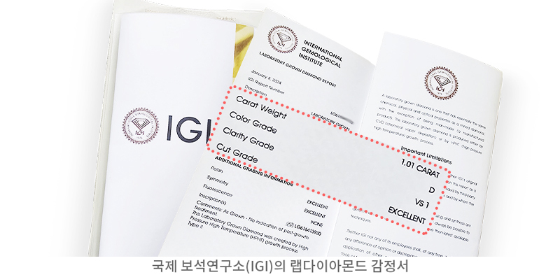 lab설명_03.jpg