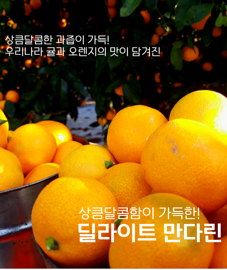 이미지 설명이 없습니다.