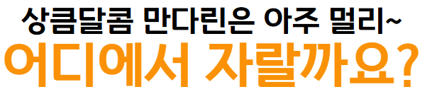 이미지 설명이 없습니다.